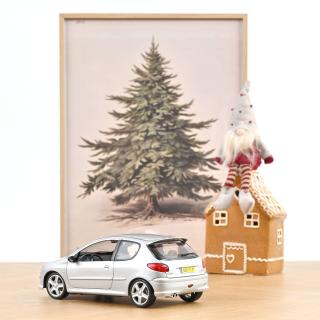 Peugeot 206 RC 2003 Aluminium Silver 1:18 (Reprod 2024) Norev 1:18 Metallmodell 2 Türen, Motorhaube und Kofferraum zu öffnen!