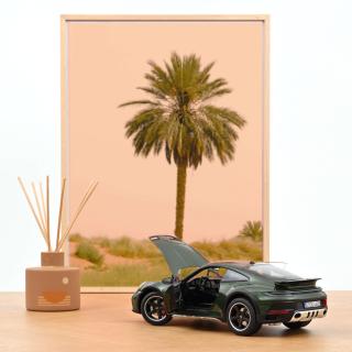 Available from 24.09.2024 Porsche 911 Dakar 2023 Oakgreenmetallic 1:18 Norev 1:18 Metallmodell 2 Türen und Motorhaube  zu öffnen!