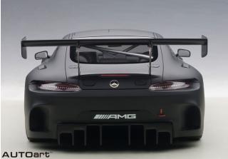 MERCEDES BENZ AMG GT3 PLAIN BODY VERSION (MATT BLACK) (COMPOSITE MODEL/2 DOOR OPENINGS) AUTOart 1:18